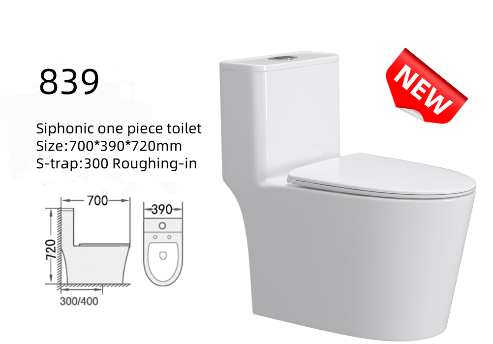 839 one piece toilet